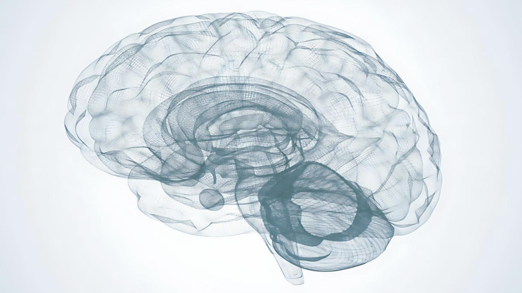 Long-term application of machine learning skills in professional context
